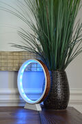LED Ring Lamp-blue light.jpg