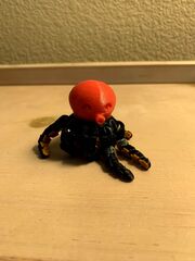 IMG_8534.jpg