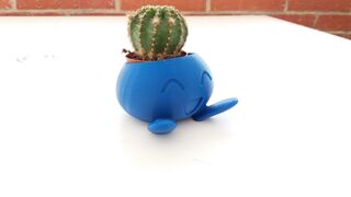 20170812_152417.jpg