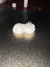 IMG_6957.jpeg