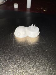 IMG_6957.jpeg