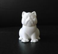 Persian cat (12).jpeg