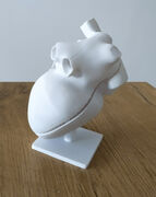 3D Druck - Anatomisches Herz.jpg