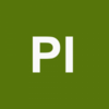 P i2 Logo