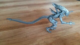 IMG_20170806_191130.jpg