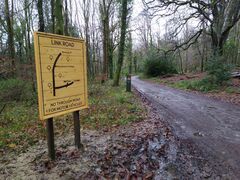 IMG_20201212_092846.jpg