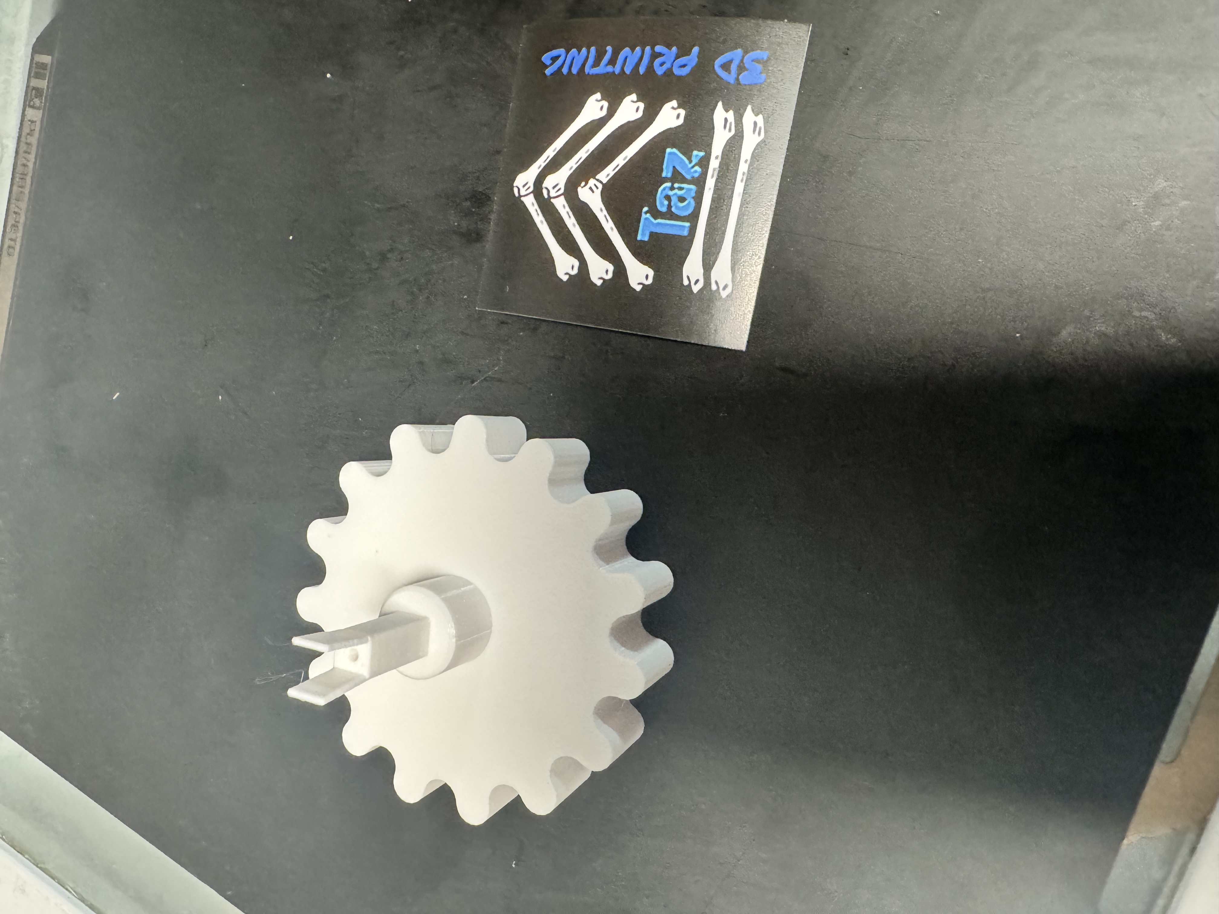 Taz's 3D Printing 3D printing photo