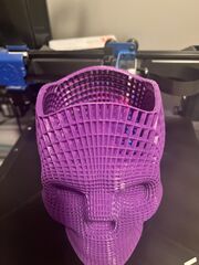 IMG_2871.jpeg
