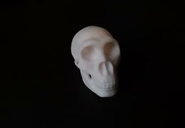 IMG_20210410_122816.jpg