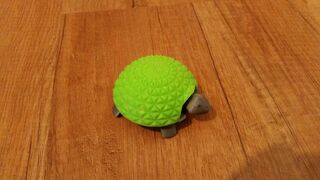 IMG_20170810_180058.jpg