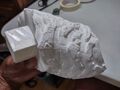 查看图片 #5895542
