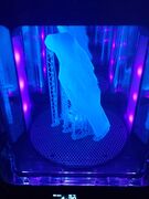 20180709_155423.jpg