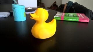 WP_20170429_11_33_16_Pro_LI.jpg