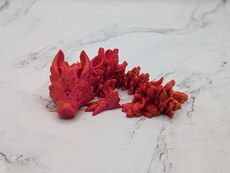 PXL_20231207_090533455.jpg