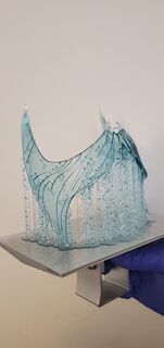 20210321_120719.jpg