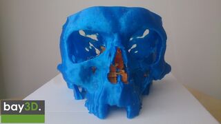 bay3d_skull2.jpg