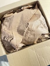 IMG_9062.jpeg