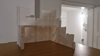 20230317_083043.jpg