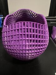IMG_2869.jpeg