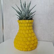 20230621_191347.jpg