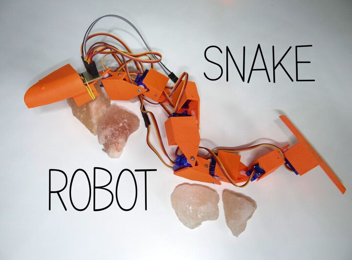 Snake robot