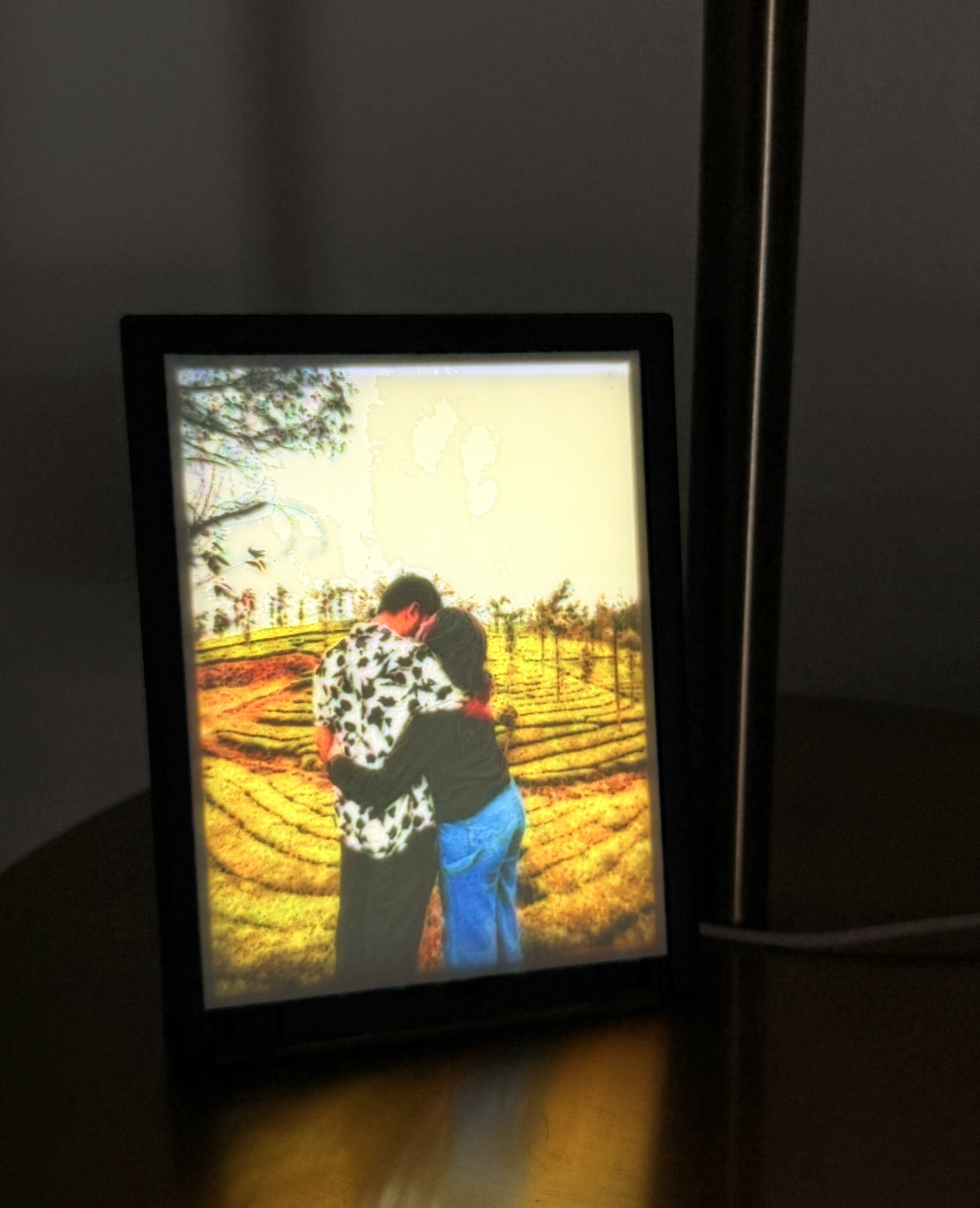 Adi Voxel 3D printing photo