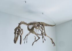 0A749445-F51A-4B9C-B052-D123C743C14F.jpeg