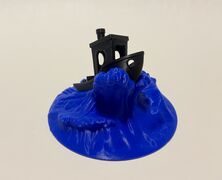 IMG-2405.jpg