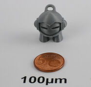 100µm.jpg