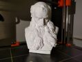 Max&#039;s Printing3D打印图片
