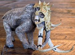 20250825_101053.jpg