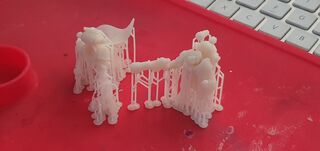 20220712_132031.jpg