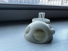 IMG_2822.jpeg