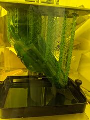 PXL_20210521_050400212.jpg
