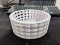 RaptorPrint 3D printing photo