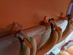 PXL_20210506_141818795.jpg
