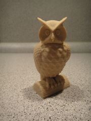 DSC05700.JPG
