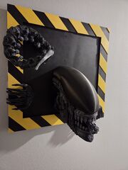 20250925_214315.jpg