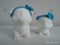IMG_20190130_132054.jpg