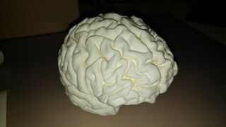 20151207_231345.jpg