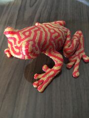 IMG_5555.jpeg