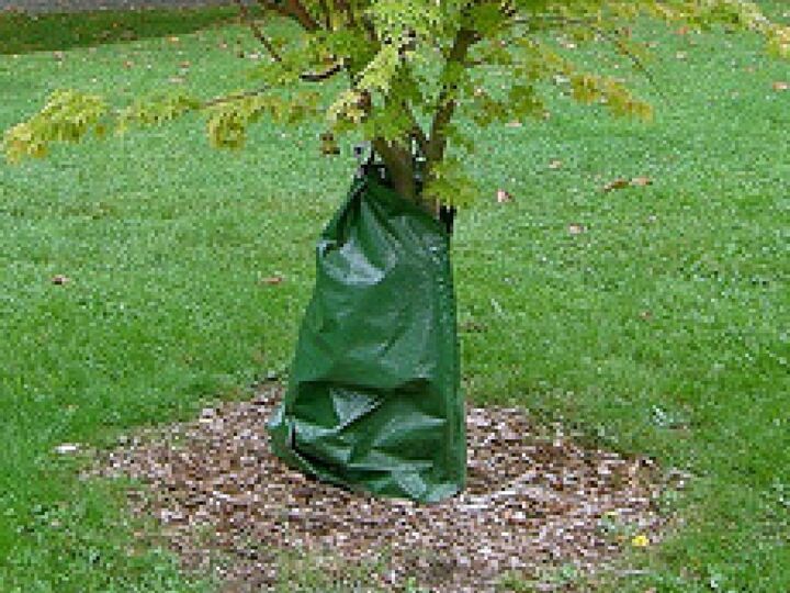 Tree Watering Bag
