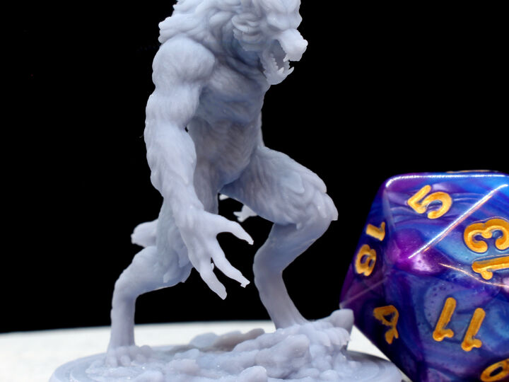 Werewolf Miniature.  High Quality 3D Resin Print