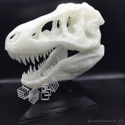 dino_01.jpg