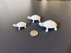 IMG_6224.jpeg