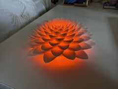 IMG_1360 Large.jpeg