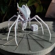 20240206_113220.jpg