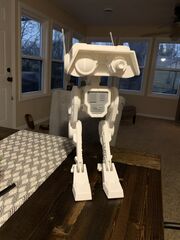 IMG_0473.jpeg