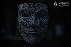 Anonymous mask.jpg