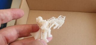 20220712_144947.jpg